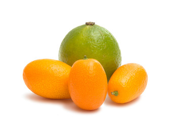 Kumquat isolated