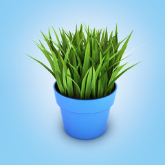 flowerpot with green grass on blue gradient bakground 3d