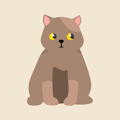 Cat breed british shorthair cute pet portrait fluffy young adorable cartoon animal and pretty fun brown feline mammal domestic kitty vector illustration.