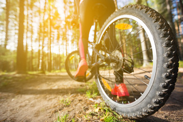 Woman riding a mountain bicycle along path at the forest. Closeup on wheel with spokes