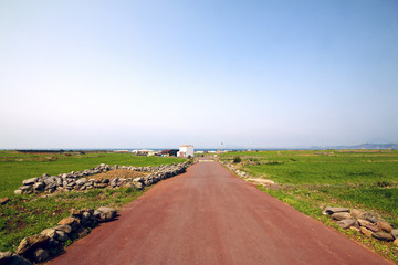 Fototapeta premium korea jeju island horizon with road