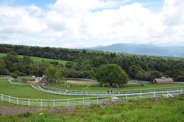 八ヶ岳　まきば公園
