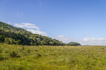 Fototapeta na wymiar Fortaleza Canyon vegetation