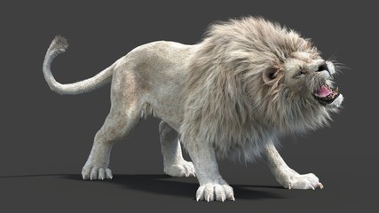 White Lion in Defence © ANDRANIK