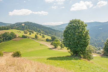 Beskid Śląski Polska