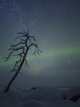 Northern Lights. Nellie, Finland.