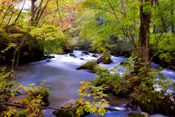 青森　奥入瀬渓流　紅葉