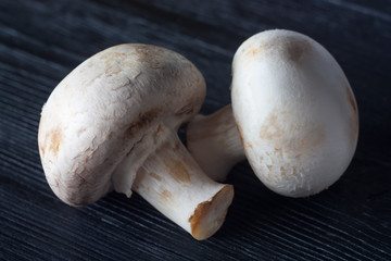 Fresh raw champignons