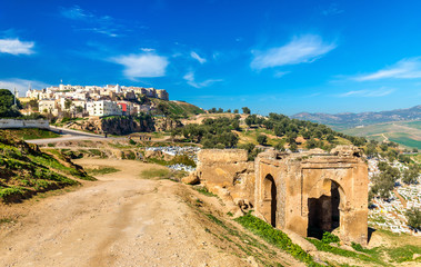 Fototapeta premium Cemetery at the Marinid Tombs in Fes, Morocco