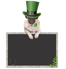 lovely cute pug puppy dog with leprechaun hat for st. patrick's day smoking pipe, leaning on blank chalkboard sign with horseshoe and shamrock, isolated on white background