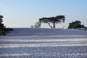 Lange duinen, Soest