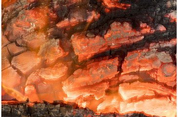Obraz na płótnie Canvas wood in fire, detail