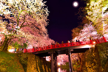 弘前城公園の夜景