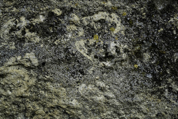 The detail texture of stone. Rock background.