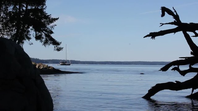 boat off forested shore