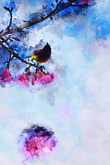 Abstract Gould's Sunbird on cherry branch watercolor painting
