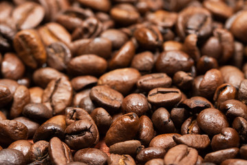 coffee beans close-up