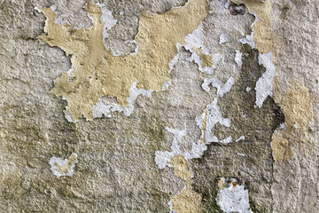 Peeling paint on cement