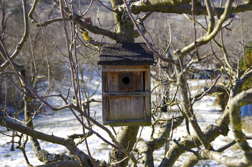 Vogelhaus im Garten