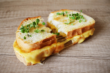 Fresh sandwich with cheese and herbs