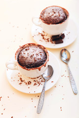 Cupcake in a mug on a white background. Home-made fast baking. Cupcakes with sugar powder and chocolate