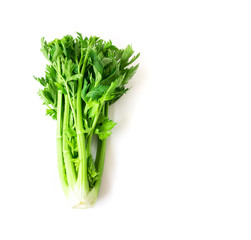 Fresh celery vegetable on white background, healthy food concept