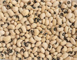 Dry Pinto Beans Backgrpund