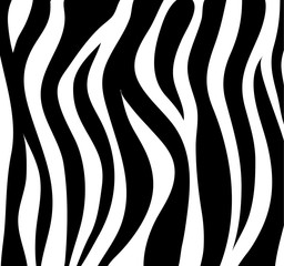 Zebra stripes black and white abstract background as skin. Vector Illustration