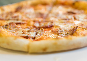 Fresh Hot Pizza with Pepperoni Sausage and Mozzarella Cheese Sprinkled with Herbs