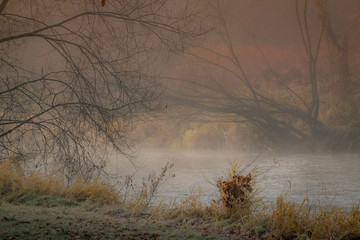 foggy mornings collection © Grzegorz Matoryn