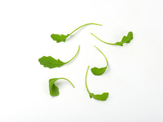 fresh arugula leaves