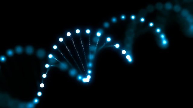 3D rendered looping animation of rotating DNA glowing molecule. Genetics concept.