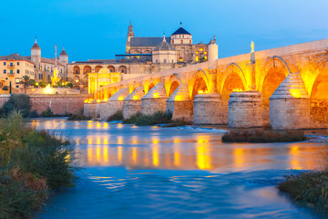 Fototapeta na wymiar Illuminated Great Mosque Mezquita - Catedral de Cordoba with mirror reflection and Roman bridge across Guadalquivir river during evening blue hour, Cordoba, Andalusia, Spain