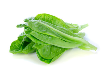 Cos lettuce isolated on white background