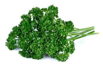 parsley isolated on a white background