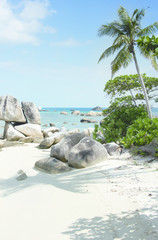 Natural rock formation in the sea and on a white sand beach with a palm tree in Belitung Island in the afternoon, Indonesia.