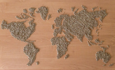 Flat lay set with cereals in the form of the continents or map of the world