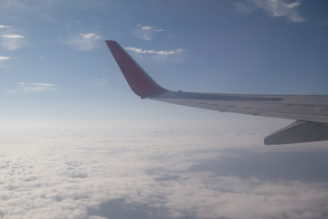 In the Flight