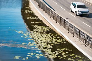 Modern car at road near river