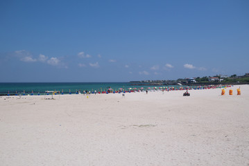 Fototapeta na wymiar Jeju beach
