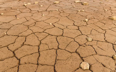 Mud texture of drying prism desiccation cracks in soil.