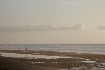 Beauty in nature with water