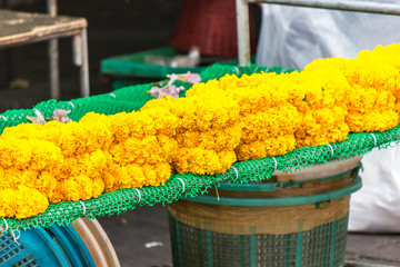 garland  yellow in thailand