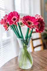 Closeup of pink gerbera flower bouquet in vase