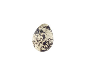 Naklejka na ściany i meble quail egg isolated on white background