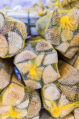 Wooden logs wrapped in mesh on display