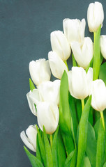 White fresh tulips flowers in a bouquet on a dark holiday concept background. View from above flat vertical