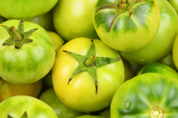 Green tomato, close up