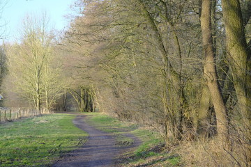 An der Schönebecker Aue im Winter