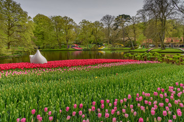 Endless fields of tulips at the lake in dutch spring Keukenhof Gardens